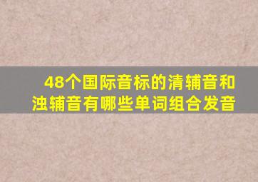 48个国际音标的清辅音和浊辅音有哪些单词组合发音