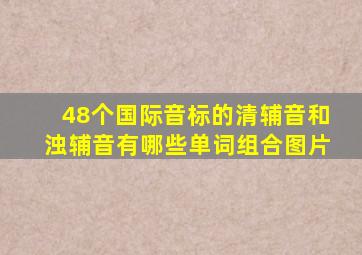 48个国际音标的清辅音和浊辅音有哪些单词组合图片