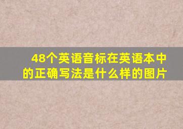 48个英语音标在英语本中的正确写法是什么样的图片