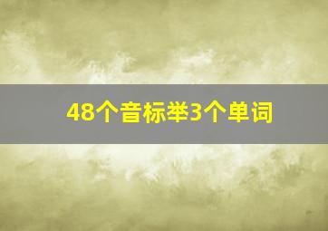 48个音标举3个单词