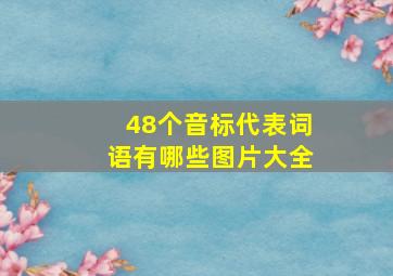 48个音标代表词语有哪些图片大全