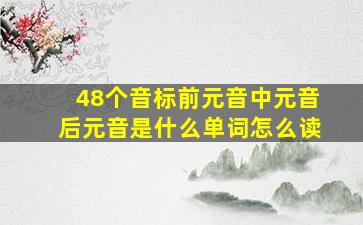 48个音标前元音中元音后元音是什么单词怎么读