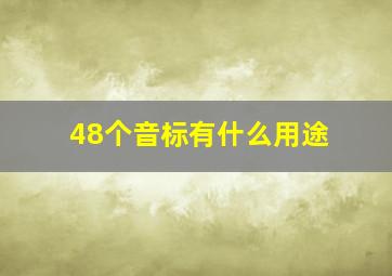 48个音标有什么用途