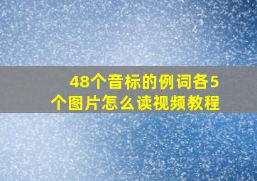 48个音标的例词各5个图片怎么读视频教程