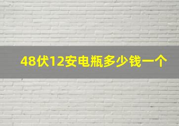 48伏12安电瓶多少钱一个