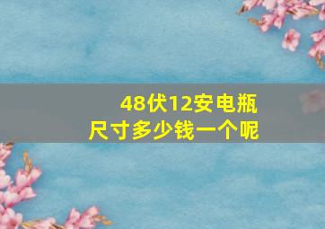 48伏12安电瓶尺寸多少钱一个呢