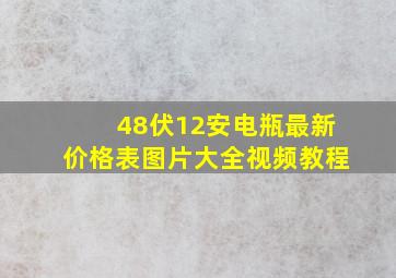 48伏12安电瓶最新价格表图片大全视频教程