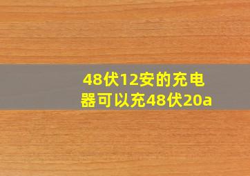 48伏12安的充电器可以充48伏20a