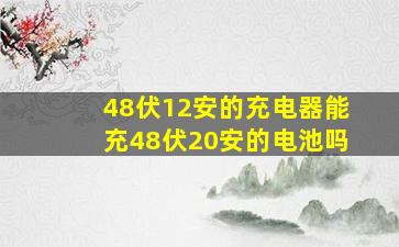 48伏12安的充电器能充48伏20安的电池吗