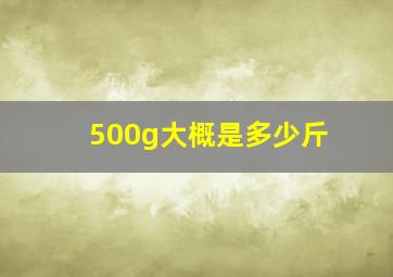 500g大概是多少斤