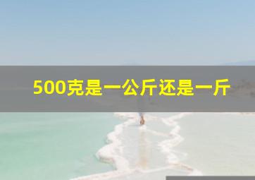 500克是一公斤还是一斤