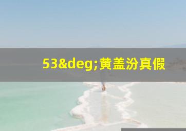 53°黄盖汾真假