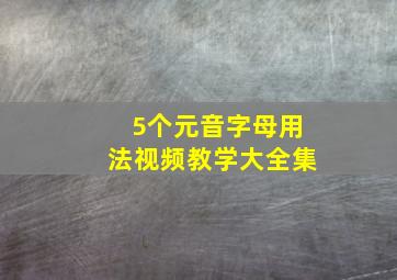 5个元音字母用法视频教学大全集