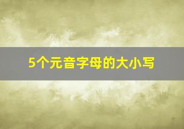 5个元音字母的大小写