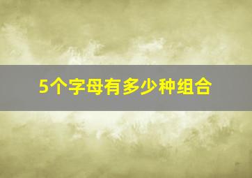 5个字母有多少种组合