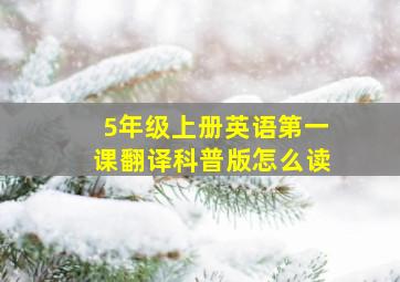 5年级上册英语第一课翻译科普版怎么读