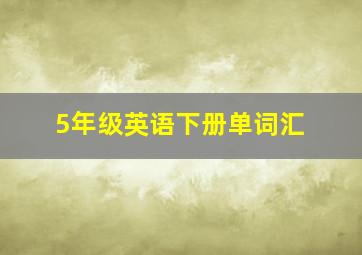 5年级英语下册单词汇