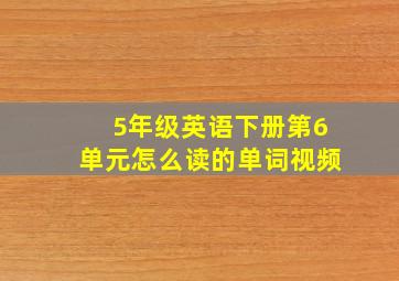 5年级英语下册第6单元怎么读的单词视频