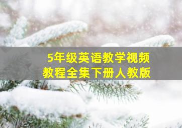 5年级英语教学视频教程全集下册人教版