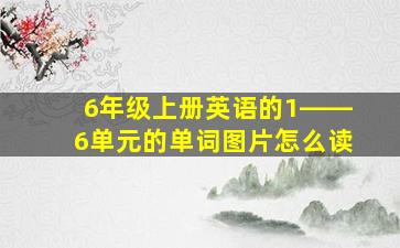 6年级上册英语的1――6单元的单词图片怎么读