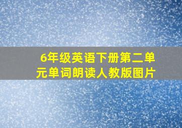 6年级英语下册第二单元单词朗读人教版图片