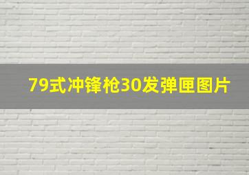 79式冲锋枪30发弹匣图片