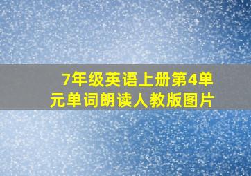 7年级英语上册第4单元单词朗读人教版图片