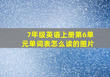 7年级英语上册第6单元单词表怎么读的图片