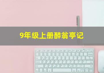 9年级上册醉翁亭记