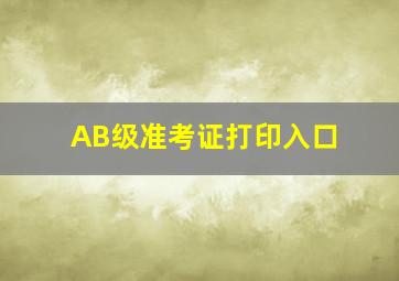 AB级准考证打印入口