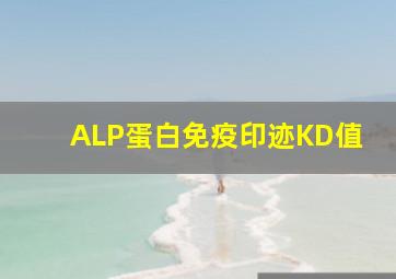 ALP蛋白免疫印迹KD值