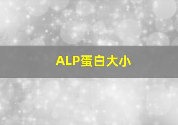 ALP蛋白大小