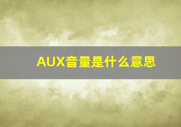 AUX音量是什么意思