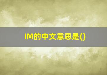 IM的中文意思是()