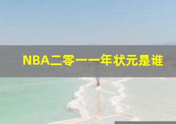 NBA二零一一年状元是谁