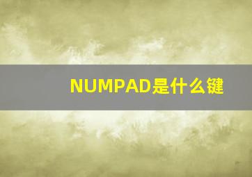 NUMPAD是什么键