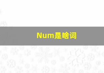 Num是啥词