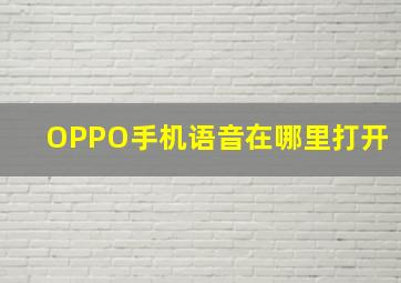 OPPO手机语音在哪里打开