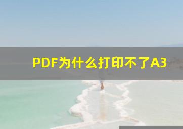 PDF为什么打印不了A3