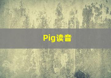 Pig读音