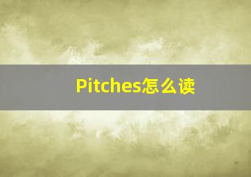 Pitches怎么读