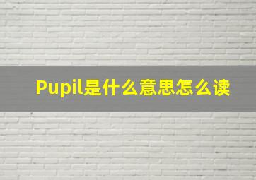 Pupil是什么意思怎么读