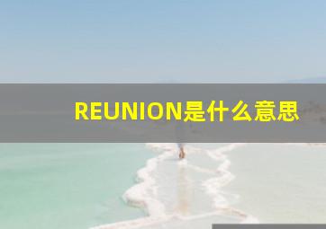 REUNION是什么意思