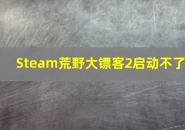 Steam荒野大镖客2启动不了