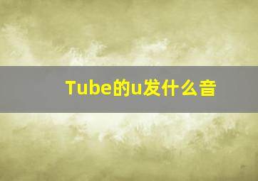 Tube的u发什么音