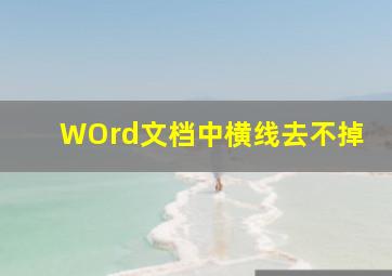 WOrd文档中横线去不掉