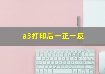 a3打印后一正一反