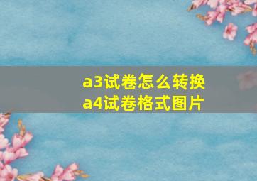 a3试卷怎么转换a4试卷格式图片