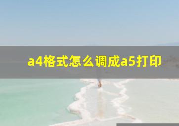 a4格式怎么调成a5打印