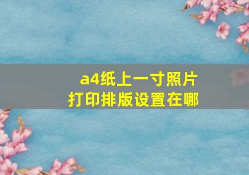 a4纸上一寸照片打印排版设置在哪